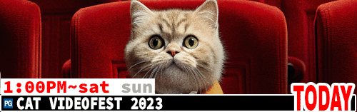 Cat VideoFest 2023 Sat Sun 1:00 pm