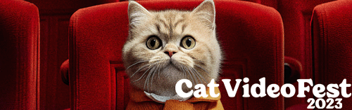 Cat VideoFest 2023 daily 3:00 pm