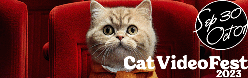 Cat VideoFest 2023 Sat Sun 1:00 pm