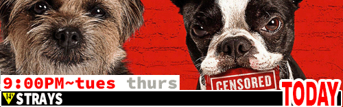 Strays Fri Sun Tues Thurs 9:00 pm
